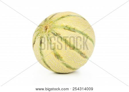 One Whole Striped Fresh Melon Cantaloupe Variety Isolated On White Background