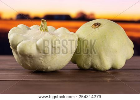 Group Of Two Whole Summer White Pattypan Squash With Autumn Field In Background