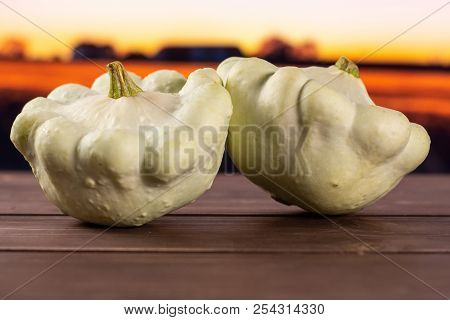 Group Of Two Whole Summer White Pattypan Squash With Autumn Field In Background