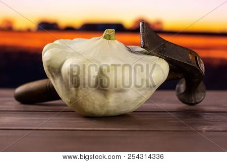 One Whole Summer White Pattypan Squash With A Hammer With Autumn Field In Background