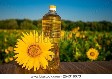 Sunflower Oil In Bottle On Wooden Table With Beautiful Field On Background. Photo With Copy Space Ar