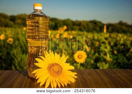 Sunflower Oil In Bottle On Wooden Table With Beautiful Field On Background. Photo With Copy Space Ar