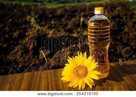Sunflower Oil In Bottle On Wooden Table With Ground Background. Photo With Copy Space Area For Text