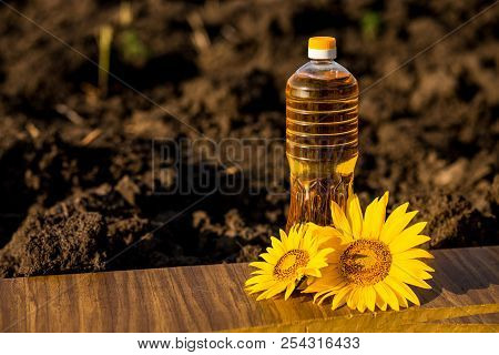 Sunflower Oil In Bottle On Wooden Table With Ground Background. Photo With Copy Space Area For Text