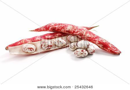 ถั่ว Borlotti