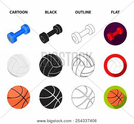 Blue Dumbbell, White Soccer Ball, Basketball, Rugby Ball. Sport Set Collection Icons In Cartoon, Bla