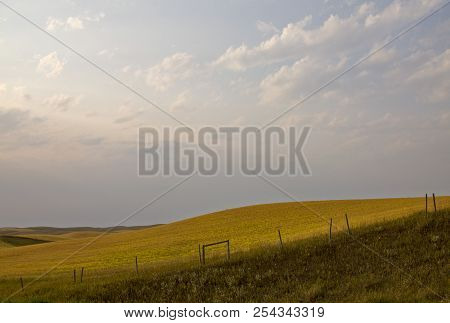 Summer Prairie Scene