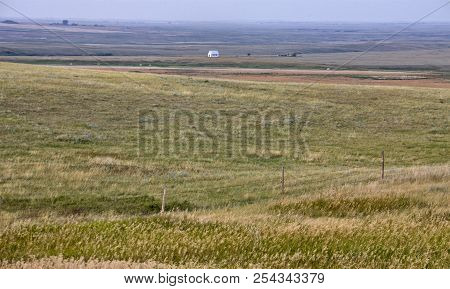 Summer Prairie Scene