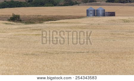 Summer Prairie Scene