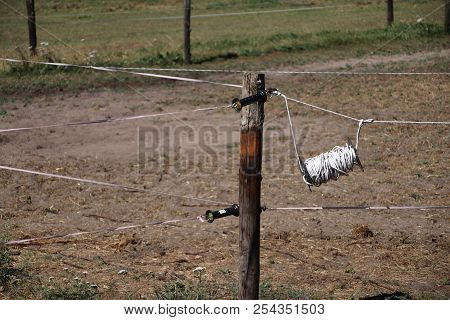 Electric Cattle Fence On A Meadow In Oldebroek, Netherlands To Keep The Horses On The Field