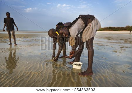 Orango Island, Guinea-bissau - February 2, 2018: Children Collecting Cockles At The Beach In The Isl