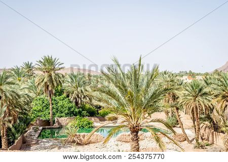 Desert Of Figuig