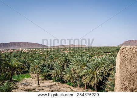 Desert Of Figuig