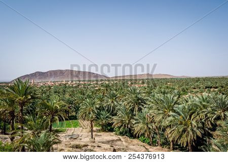 Desert Of Figuig