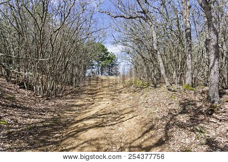 A Dirt Road In A Mountain Forest. The Foot Of The Tokluk-syrt Ridge. Crimea, Spring, Early April, A 