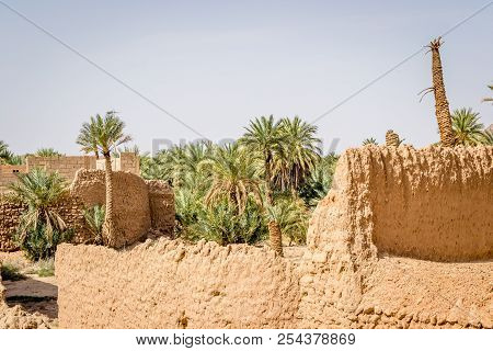 Desert Of Figuig