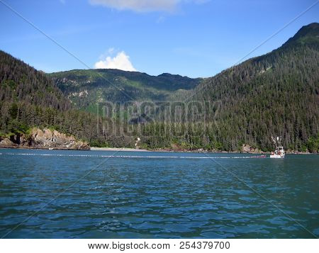 Boat Fishes With Extra Long Net