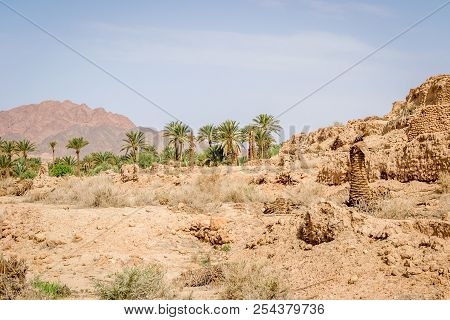 Desert Of Figuig
