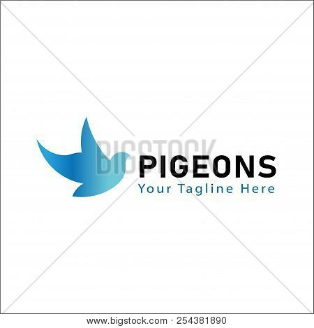 Pigeons Blue Logo For Brand Identity Your Company.