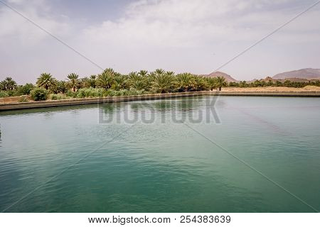 Desert Of Figuig