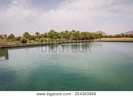 Desert Of Figuig