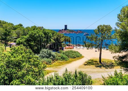 Tower Beach Forest Mediterranean Sea Tree Sand Coast