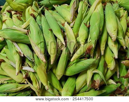Top View Of Group Corn As A Background (zea Mays), On Market In Thailand