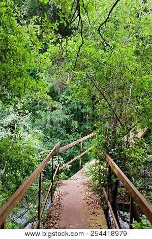 The Path Of The Gole Del Calore In The Heart Of The Cilento Nati