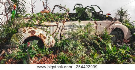 A Car Engulfed By Nature With Parrots And Tatu Animal