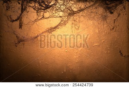 Halloween background with copyspace. Old terrible cobweb in darkness 