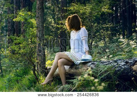 Beautiful Girl In The Forest. Young Beautiful Girl Sitting In The Forest On The Tree Trunk. Beautifu