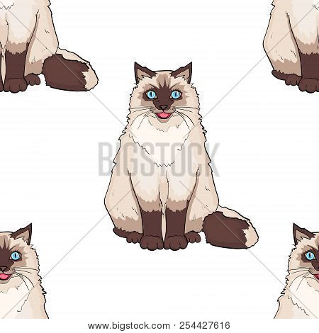 Seamless Pattern For Children Cartoon Object On White Background. Pet. Siamese Cat Or Siberian Color