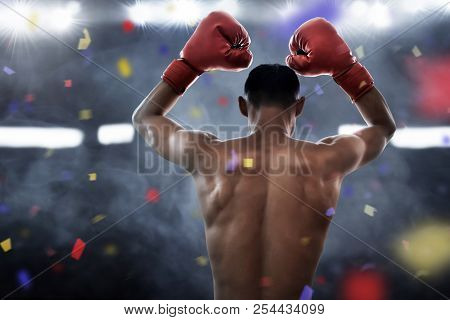 Muscular Boxer Athlete Winning The Championship Match
