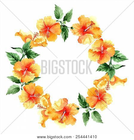 Watercolor Orange Naranja Hibiscus Flowers. Floral Botanical Flower. Frame Border Ornament Square.