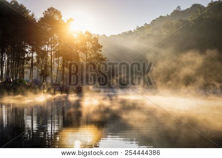 Camping And Tent Under The Pine Forest In Sunrise At Pang Ung Pine Forest Park, Pang Ung Mae Hong So