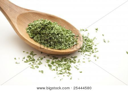 Salsa