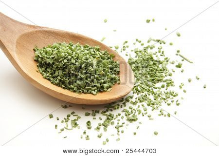 Salsa