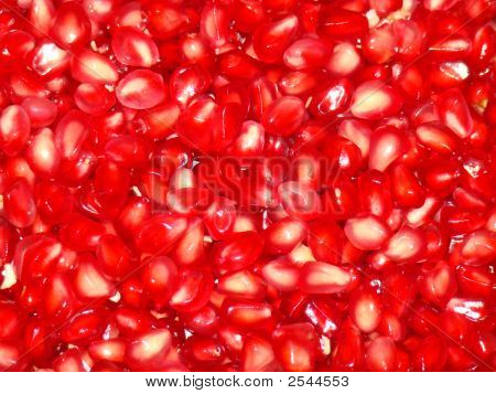 Gloria rosso