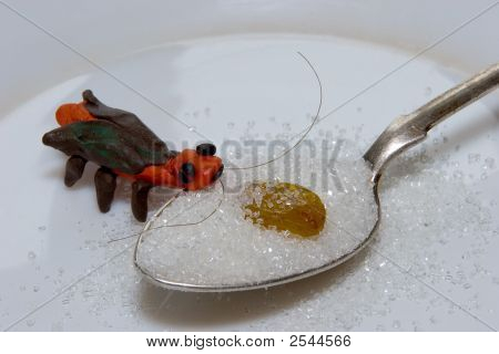 Plasticine Cockroach With Raisin