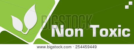 Non Toxic Concept Image With Text And Related Symbol.