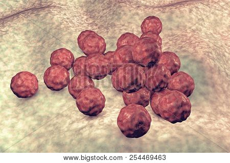 Chlamydia Trachomatis Bacteria, 3d Illustration, The Causative Agent Of Chlamydiosis