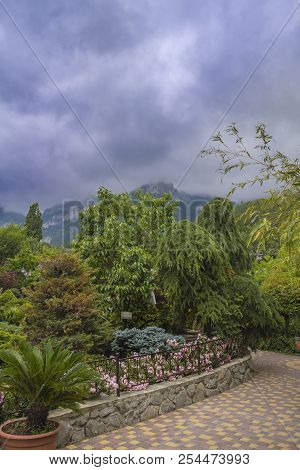A Park With Beautiful Plants And A View Of The Mountains. Cloudy Weather In The Mountains. Beautiful