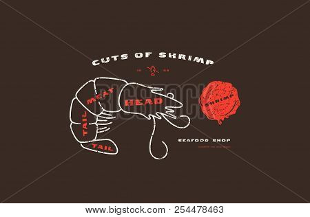 Stock Vector Shrimp Cuts Diagram In Thin Line Style. Design With Rough Texture. Color Print On Black