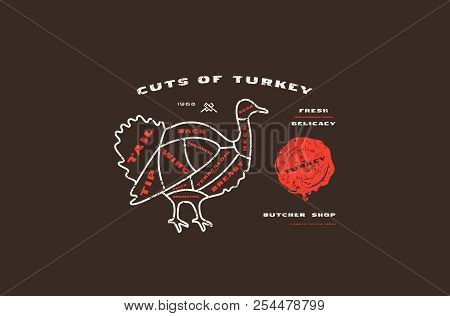 Stock Vector Turkey Cuts Diagram In Thin Line Style. Design With Rough Texture. Color Print On Black