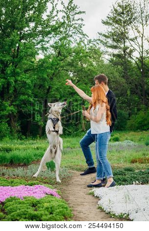 A Young Couple Walking And Playing With Husky Dog In The Park