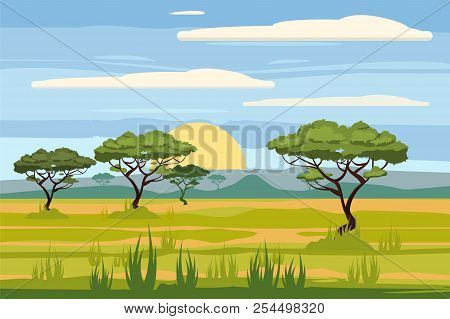 African Landscape, Savannah, Sunset, Vector, Illustration, Cartoon Style, Isolated