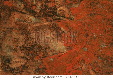 Moss baggrund
