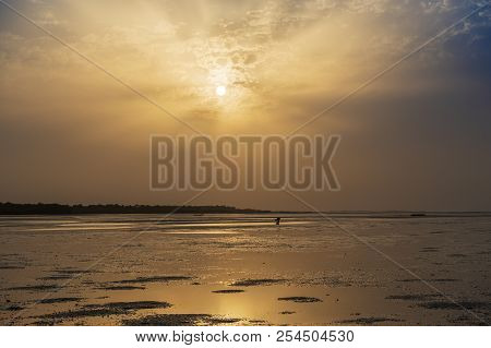 Silhouette Of A Cockle Catcher At The Beach In The Island Of Orango At Sunset, In Guinea Bissau. Ora