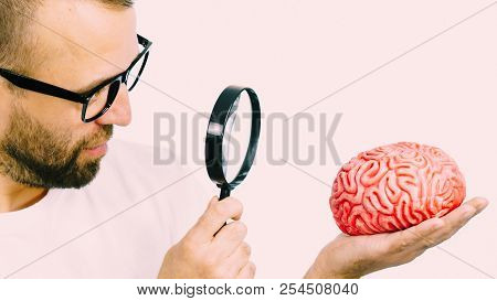 Adult Nerd Man Wearing Eyeglasses Looking At Human Brain Model. Thinking And Intelligence Conept