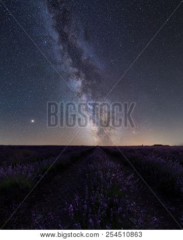 Milky Way Over Lavanda Field In Palencia, Spain